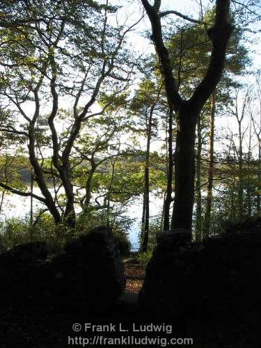 Coole Park, County Galway